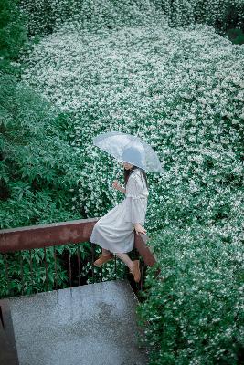 青青河边草电视剧免费全集完整版第一集