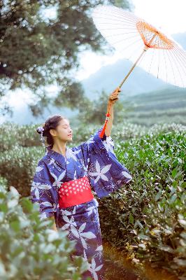 雏鸟幼儿小学生张婉莹,女大学生的沙龙室